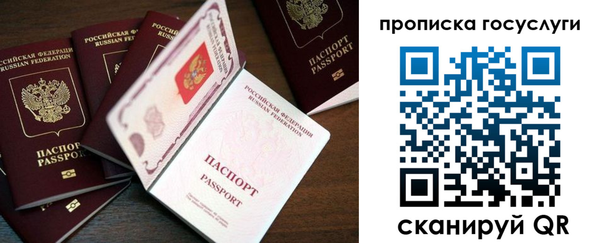 прописка штамп в Калининграде